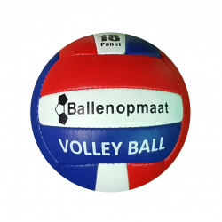 volleybal-ballenopmaat-01