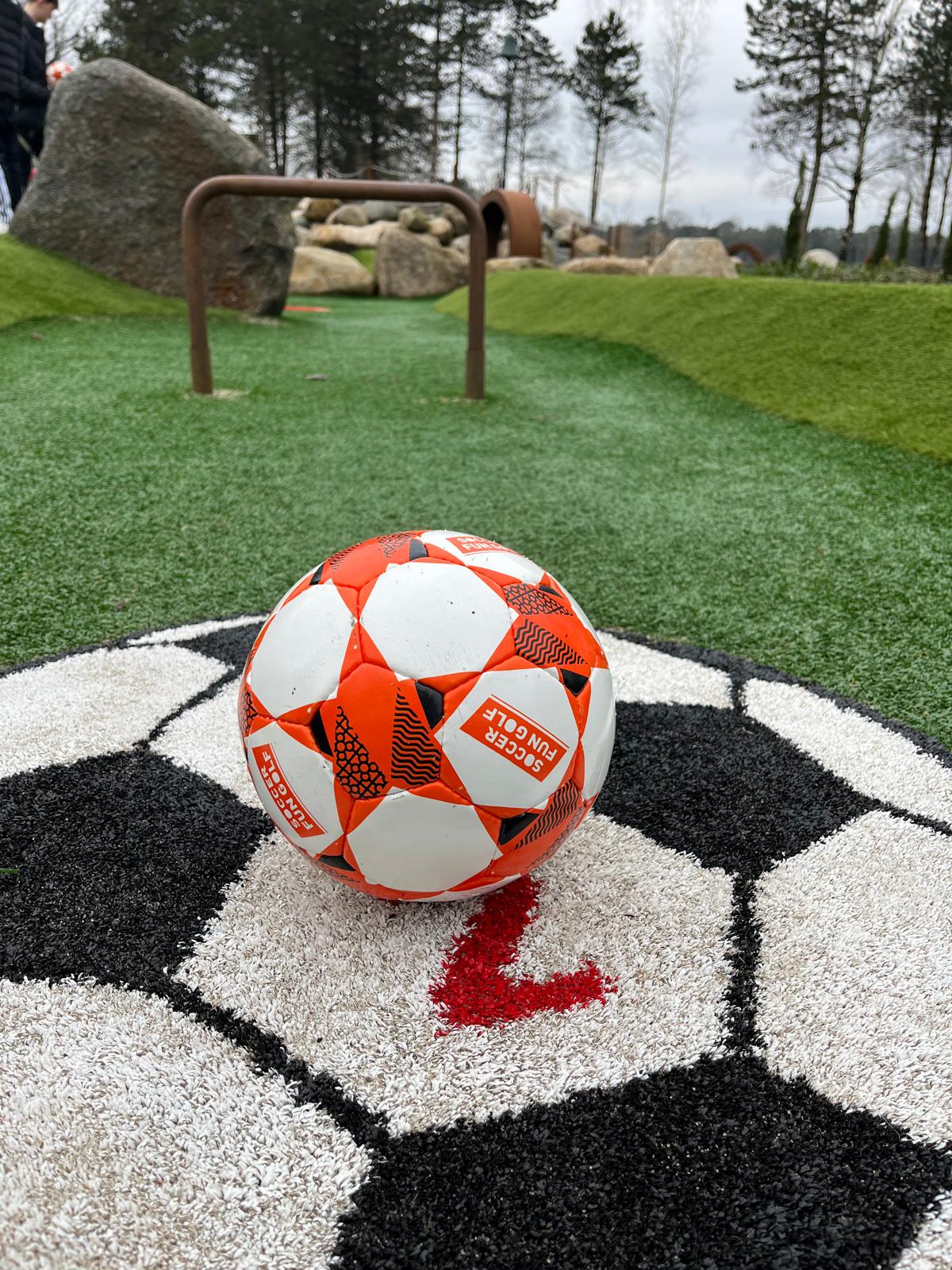 Soccerfungolf 02